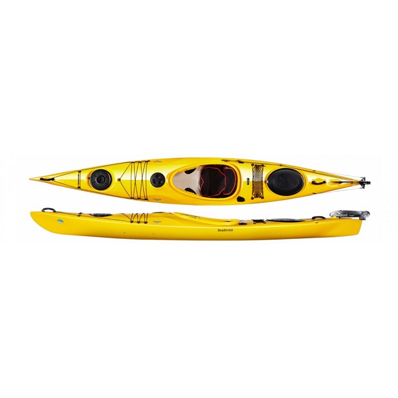 seabird-discovery-430t-kayak-ribalka-baidarka-yellow-plastic.jpg